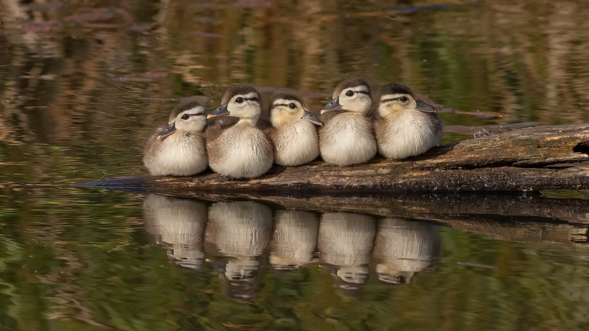 华体会hth网址-_时尚运动潮流：运动服饰的新宠_，时尚运动服牌子