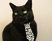 _荒野越野跑:穿越山林和荒漠的极限挑战_,荒野求生越南小伙