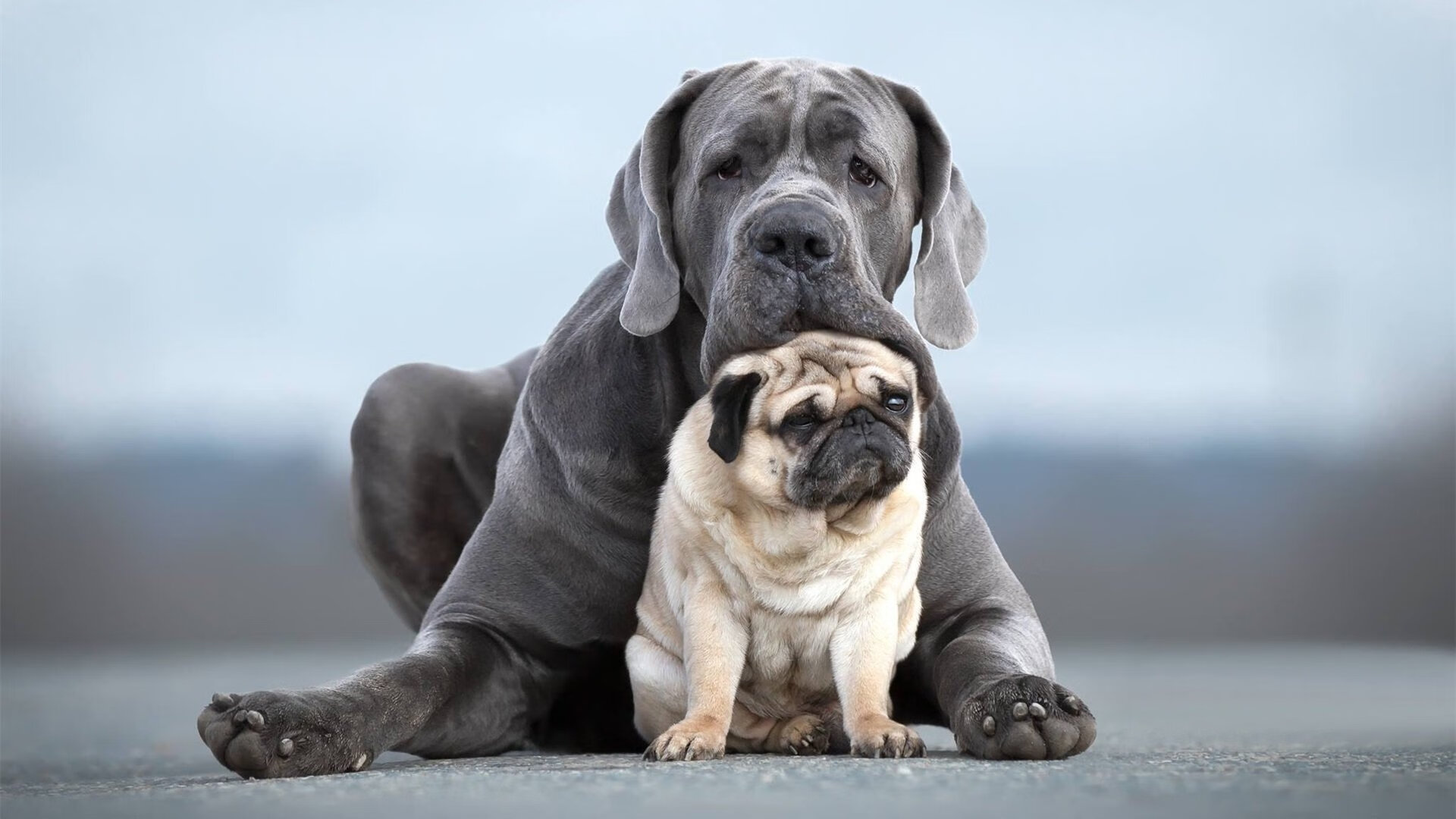 华体会登录入口-《最具人气战队战绩盘点：他们的荣耀时刻》，战队荣耀历程