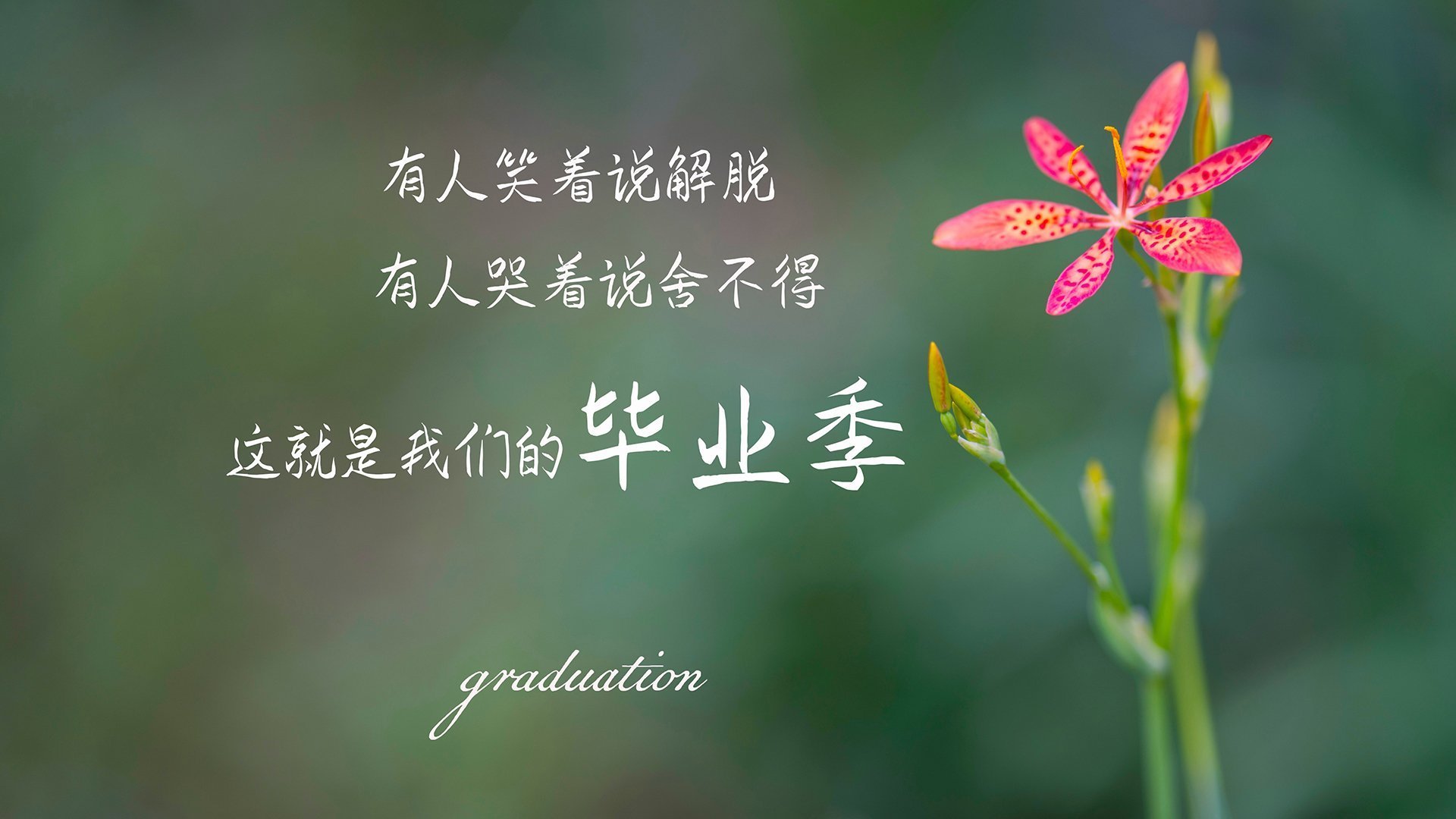 华体会在线下载-【运动员专访】丁俊晖：比赛中的压力如何化解？，丁俊晖的发力技巧