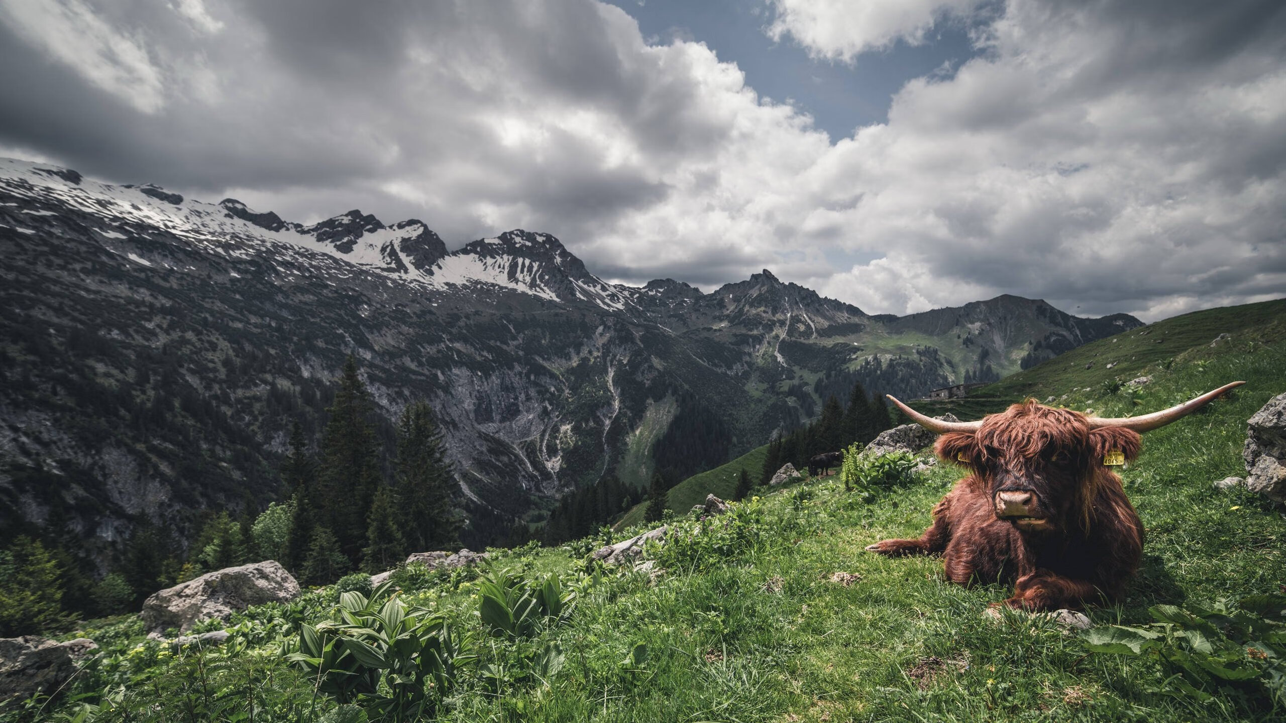 华体会手机网站-中超新政实施：引援限薪，鼓励青训出头，中超引援限制