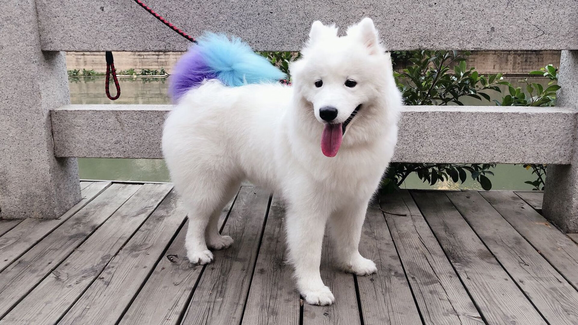 华体会app安装-外国足球友谊赛，文化交流新平台，外国足球联赛