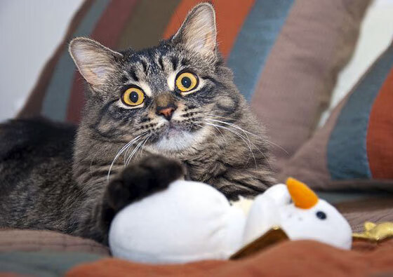 华体会hth官方网站下载-退役球星的慈善事业，用篮球改变生命，退役球星nba