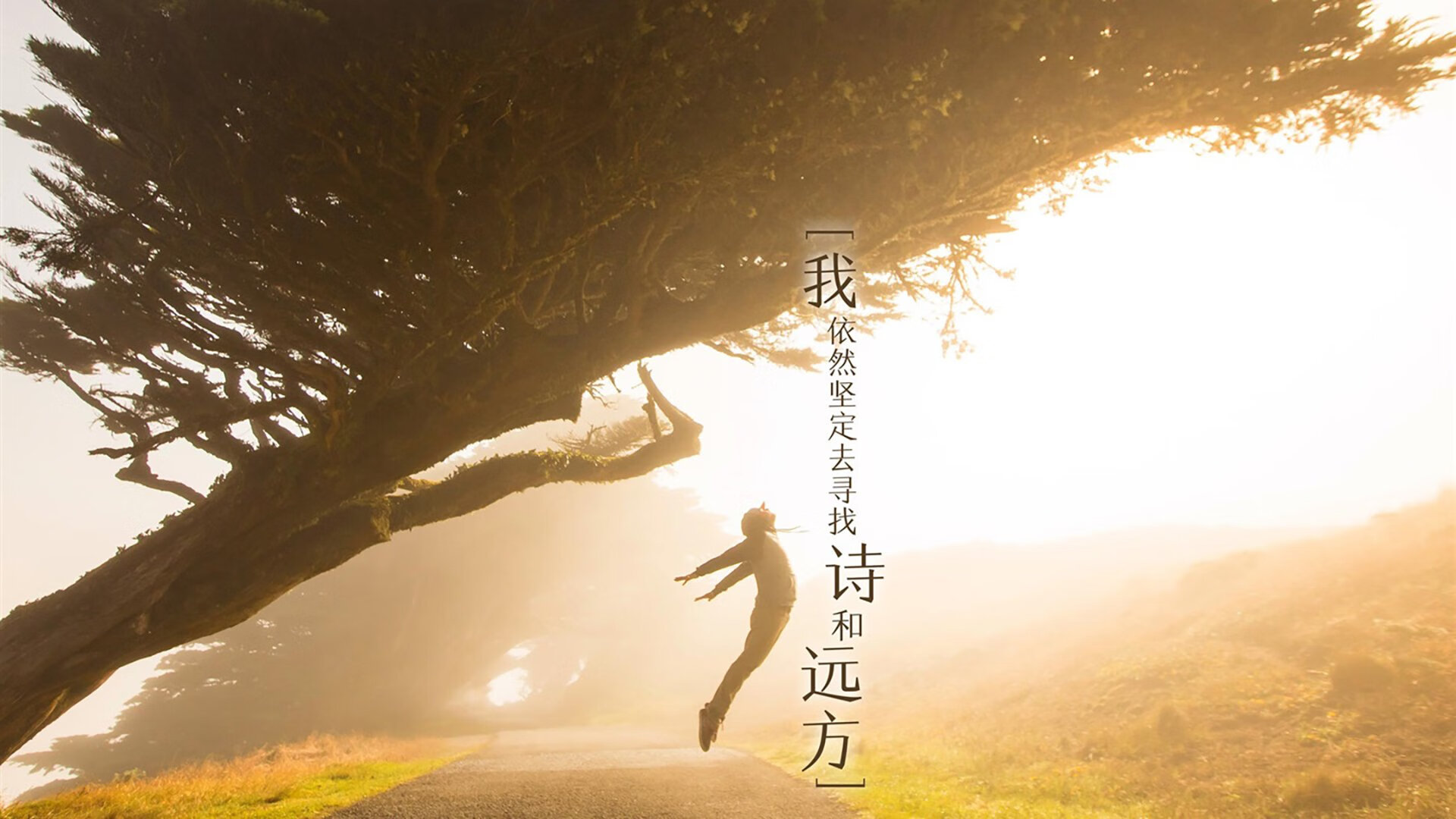 逆境中成长:球员在伤病康复期的励志故事,球员伤愈复出