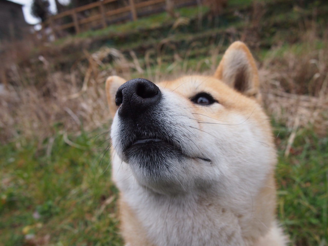 华体会hth官网-EDG季后赛对阵形势分析，edg季后赛对阵形势分析图