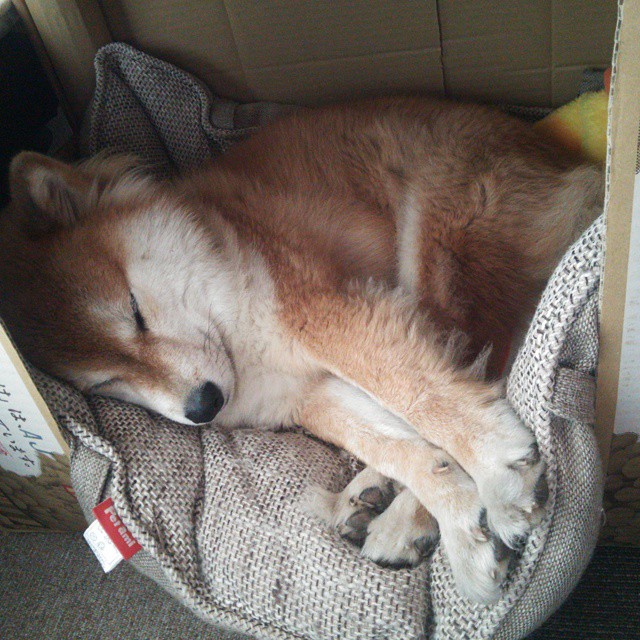 乌拉圭男足在巴黎奥运会上击败多支强队,乌拉圭男足主帅