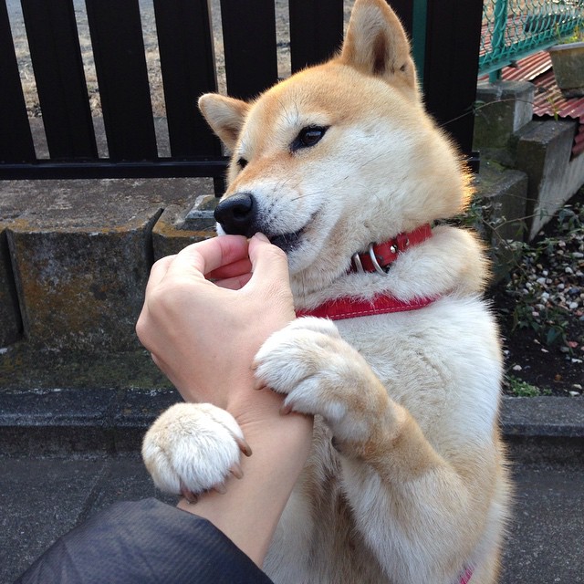 华体会hth官方网站下载-皇家贝蒂斯稳扎稳打，客场击败对手，行进顺利，皇家贝蒂斯比赛预测聚胜顽球汇