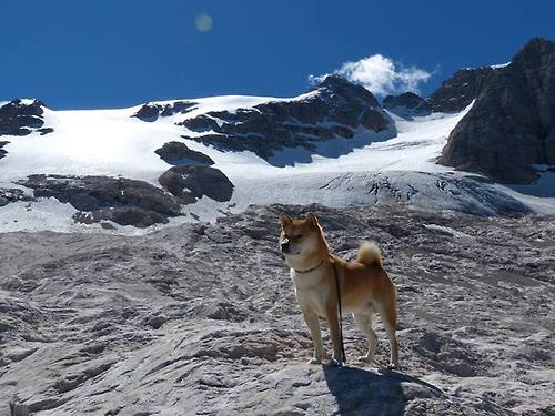 中国篮球职业联赛财务运营风险防控机制研究,中国篮球协会竞赛管理办法