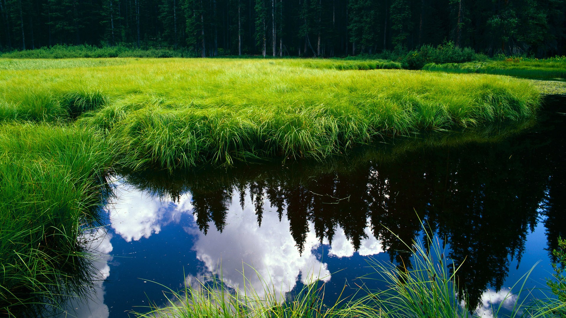 体育赛事志愿服务经验对学生综合能力提升的作用,体育赛事志愿者的工作要求