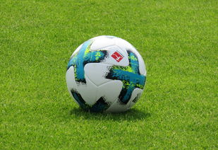 华体会官方网站-德甲防守战术转变对定位球防守效果的影响分析，德国足球防守大师