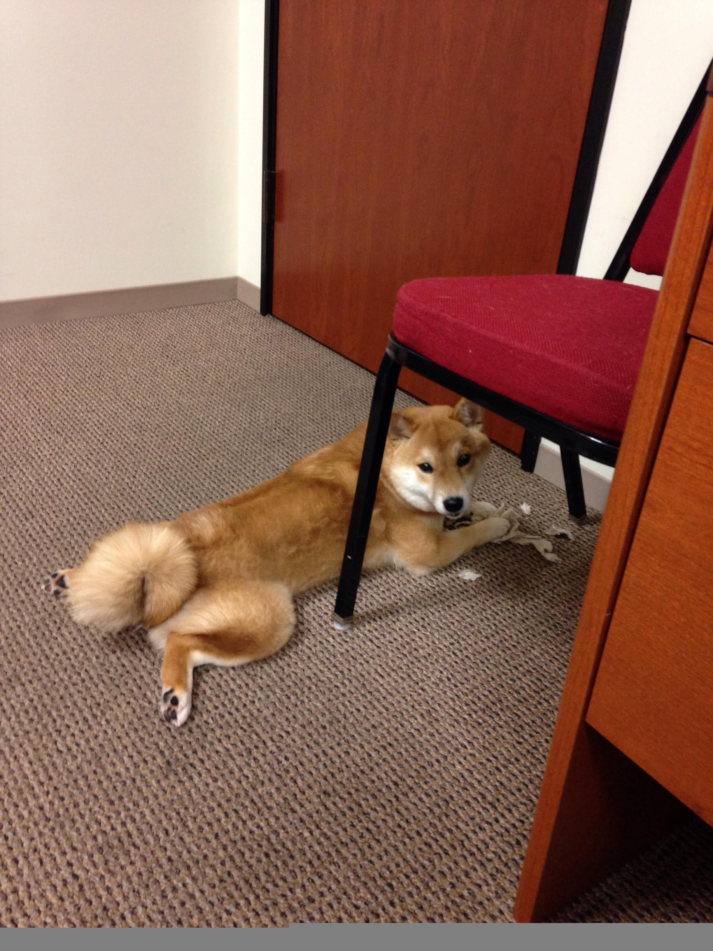 华体会手机在线-中国三人篮球男队进攻节奏灵活，三人篮球中国队员