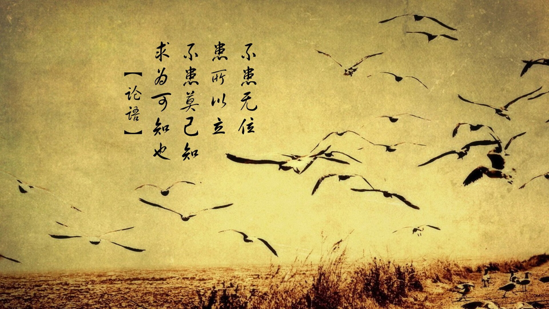 中国女篮面对强敌展现韧性和决心,中国女篮对阵形势