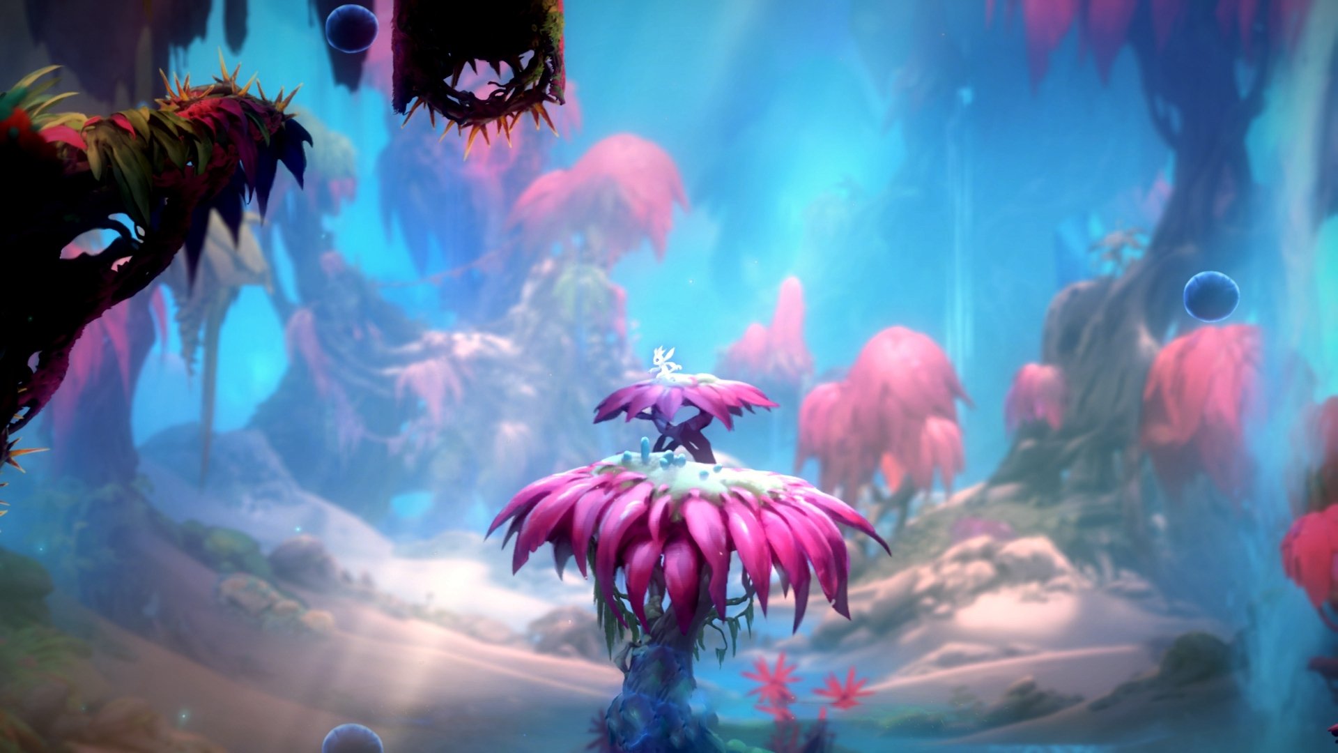 中国选手在世界射箭大奖赛中获得历史最佳名次，中国 射箭 金牌