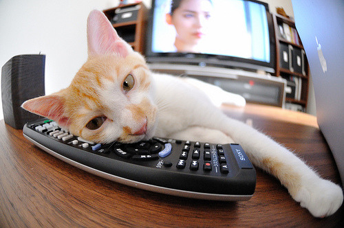 五大联赛是否提升替补登场后十五分钟关键贡献占比,五大联赛落幕