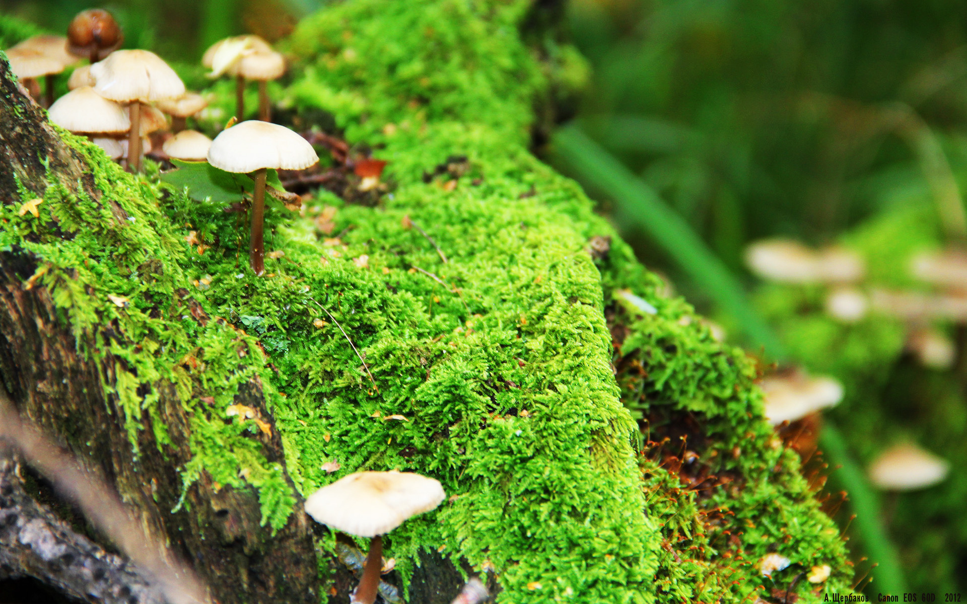 华体会hth登录地址-出发反应快，前50米抢占节奏，50米反应速度训练