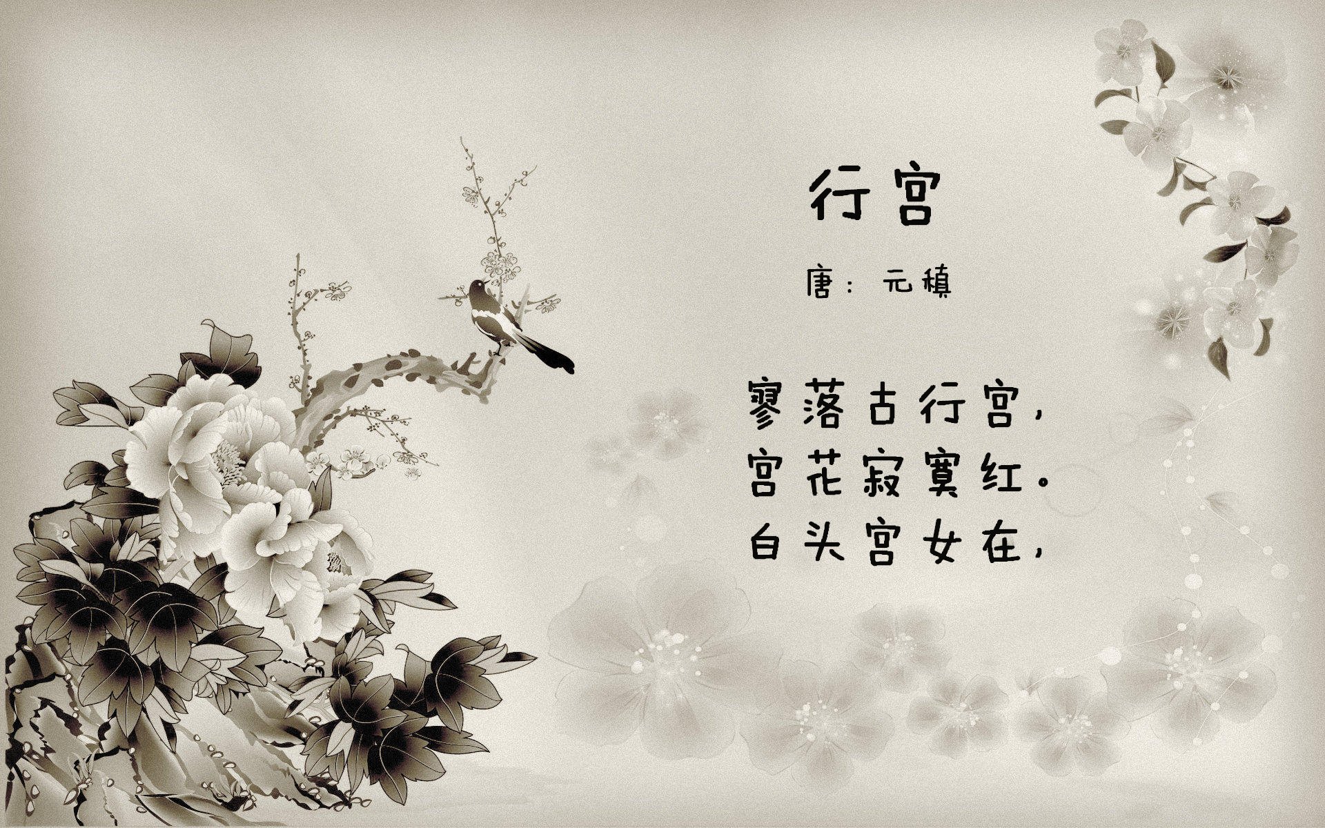 华体会hth在线登录-国际乒联混合团体世界杯：澳大利亚队展现出色团队协作能力，乒乓球澳大利亚公开赛