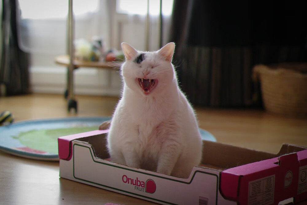 华体会在线-奥运备战各项准备工作扎实推进，奥运备战各项准备工作扎实推进什么