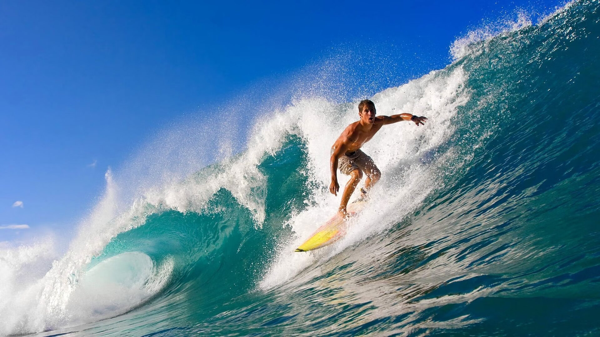 _球迷狂欢节:现场互动、签名会热情高涨_,球迷的疯狂举动